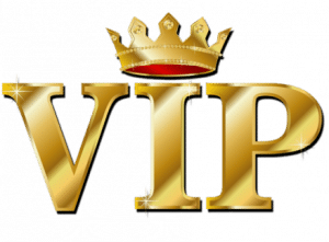 VIP The Online Casino 
