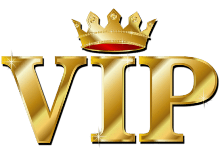 VIP The Online Casino