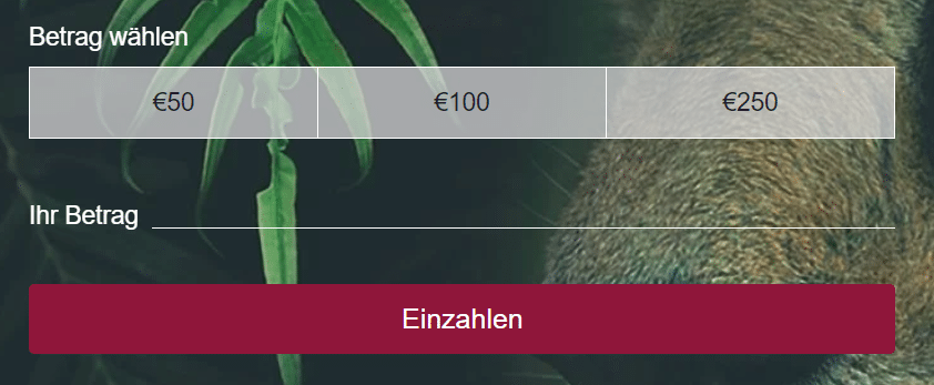 Einzahlung Bajungo 
