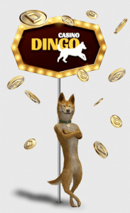 Bonus Casino Dingo